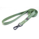 Green and red polka dot Zoon WalkAbout dog collar with bone-shaped buckle and durable nylon construction
