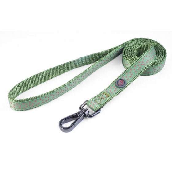 Green and red polka dot Zoon WalkAbout dog collar with bone-shaped buckle and durable nylon construction