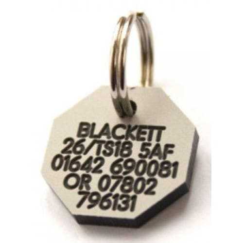 21mm octagonal plastic dog pet tag with engraving and steel split ring.