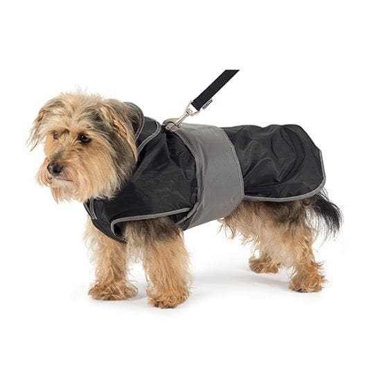 Ancol 2-in-1 Harness Dog Coat in black and grey, waterproof with reflective edging, worn by a small dog.