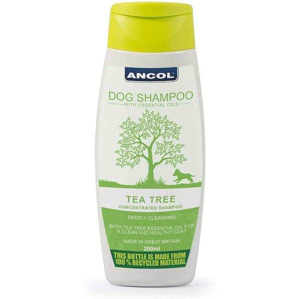 Ancol 200ml Tea Tree Oil Dog Shampoo bottle with essential oils for a clean and glossy coat.