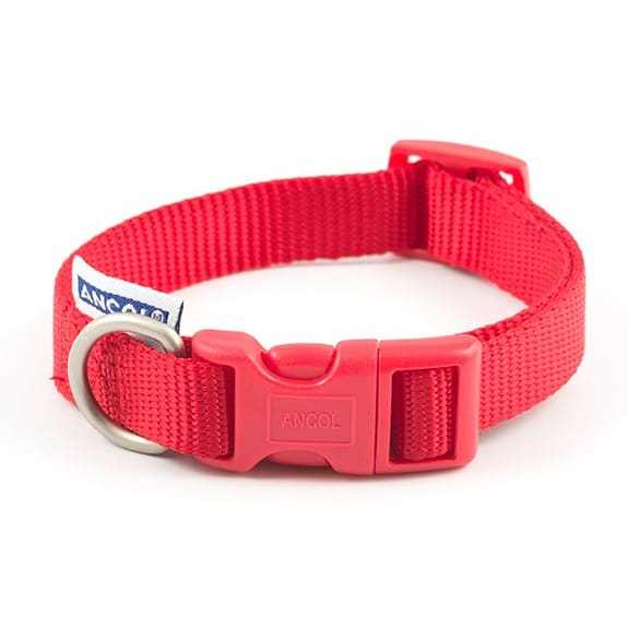 Red Ancol Adjustable Dog Collar made of durable nylon with plastic buckle and metal D-ring