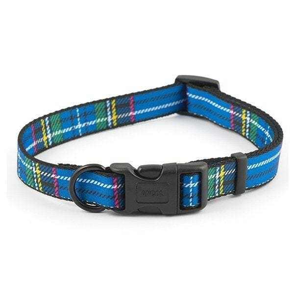 Ancol Blue Tartan Adjustable Dog Collar with quick-release buckle and D-ring.