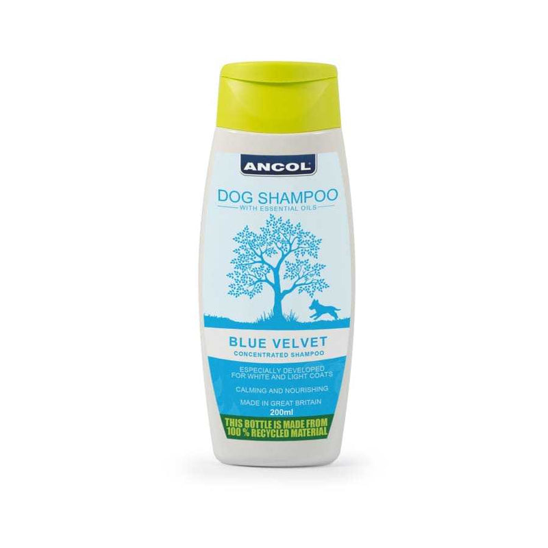 Ancol Blue Velvet 200ml Dog Shampoo with essential oils for white coats.