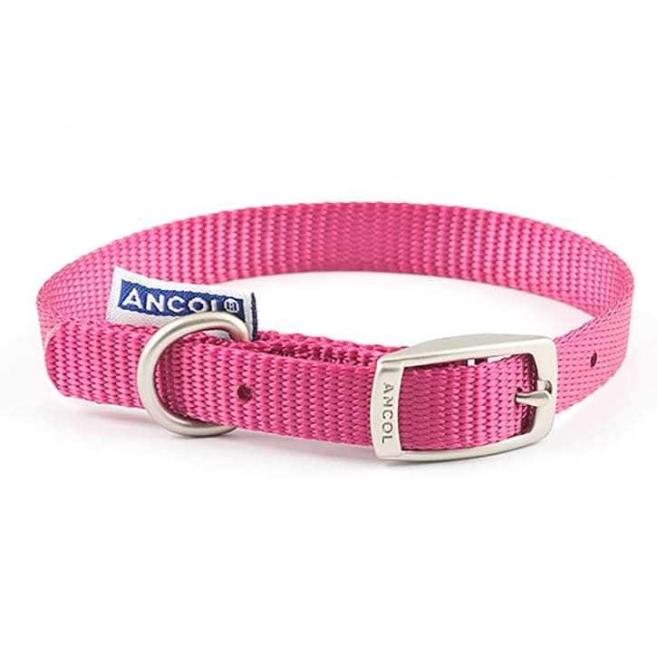Ancol Buckle Adjustable Dog Collar in raspberry pink, durable nylon with a metal buckle and D-ring, size 50-59cm.