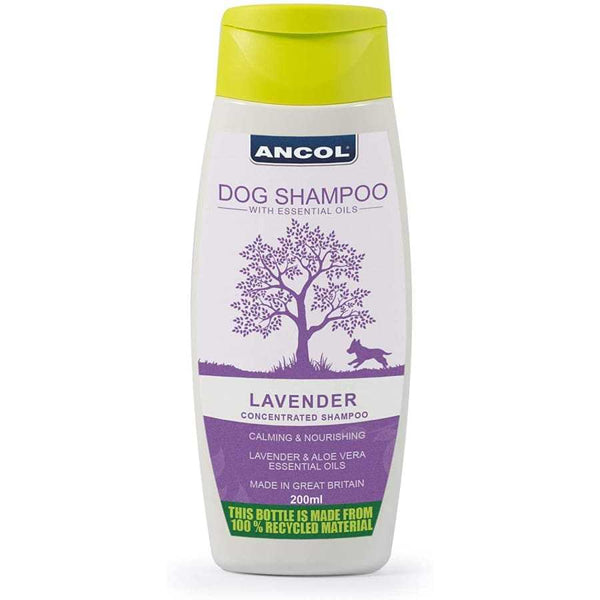 Ancol Calm Lavender Dog Shampoo 200ml with essential oils for nourishing and fragrant dog coat care.