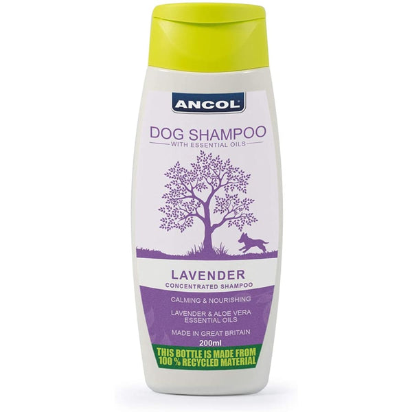 Ancol Dog Shampoo Lavender Calming Shampoo & Conditioner 200ml -Ancol5016646390431
