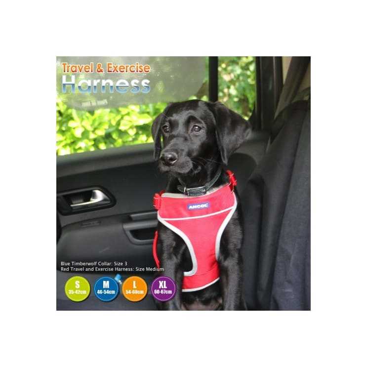 Ancol Dog Travel & Exercise Harness for car and walking, black with reflective strips, machine washable, in various sizes.