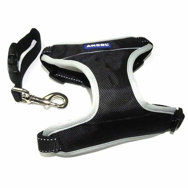 Ancol Dog Travel & Exercise Harness with padded chest and reflective strips for visibility.