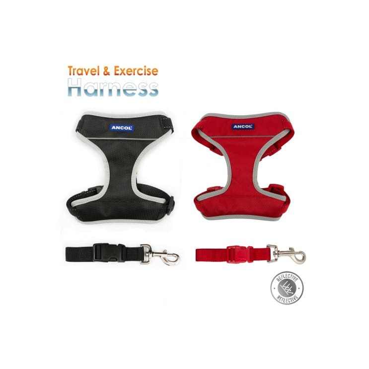 Ancol Dog Travel & Exercise Harness in black and red, featuring durable materials and reflective strips.