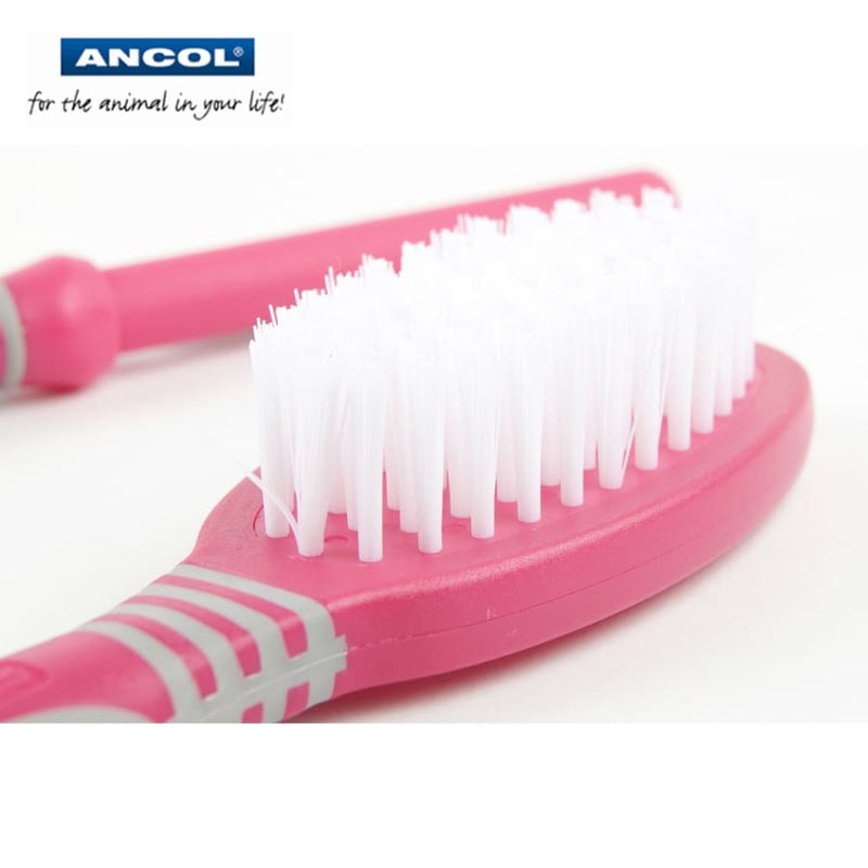 Ancol Ergo Soft Cat Brush -Ancol5016646043344