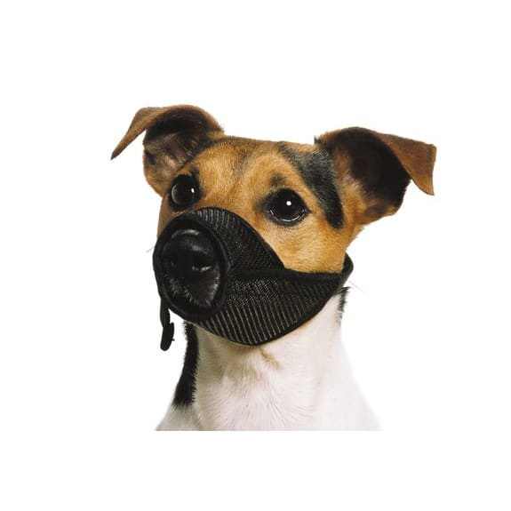 Dog wearing Ancol Mesh Dog Muzzle for comfort and safety.