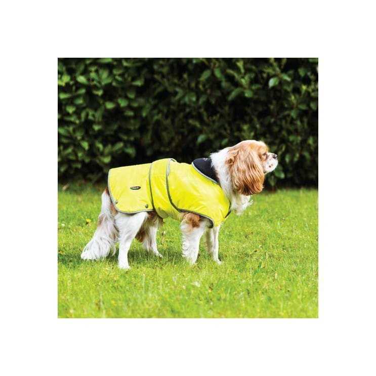 Ancol Stormguard Hi Viz Yellow Waterproof Dog Coat - Ancol5016646803443