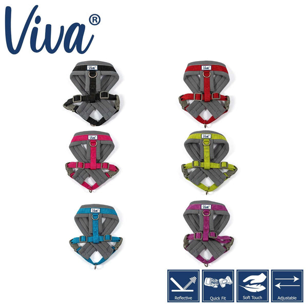 Ancol Viva Padded Dog Harness -Ancol