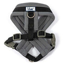 Ancol Viva Padded Dog Harness - Ancol5016646180513