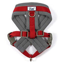 Ancol Viva Padded Dog Harness - Ancol5016646180520