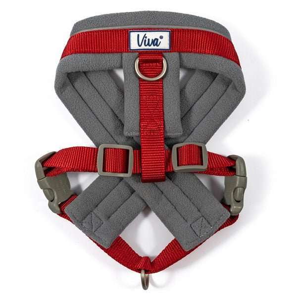 Ancol Viva Padded Dog Harness - Ancol5016646180520