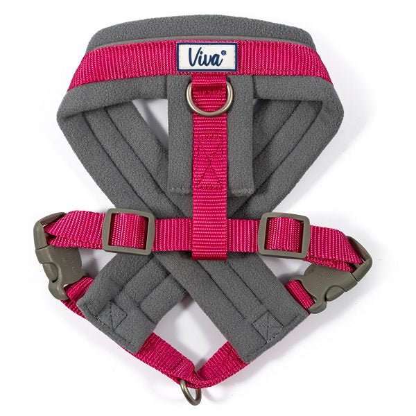 Ancol Viva Padded Dog Harness - Ancol5016646180551