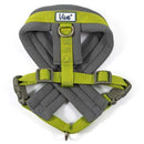 Ancol Viva Padded Dog Harness - Ancol5016646180568