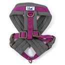 Ancol Viva Padded Dog Harness - Ancol5016646180582