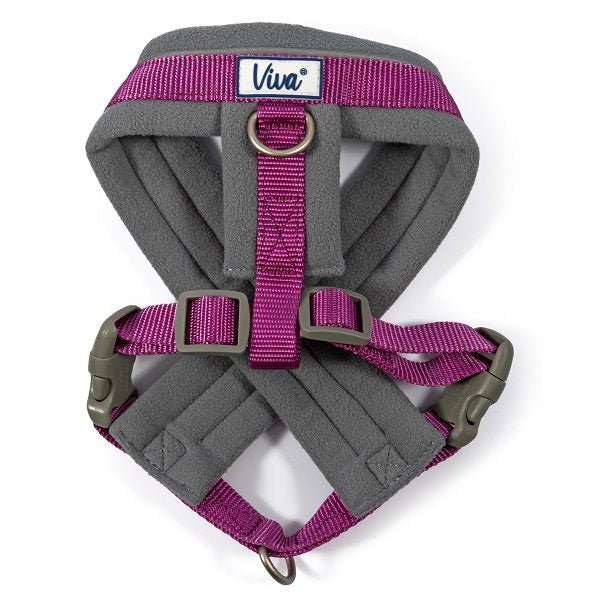 Ancol Viva Padded Dog Harness - Ancol5016646180582