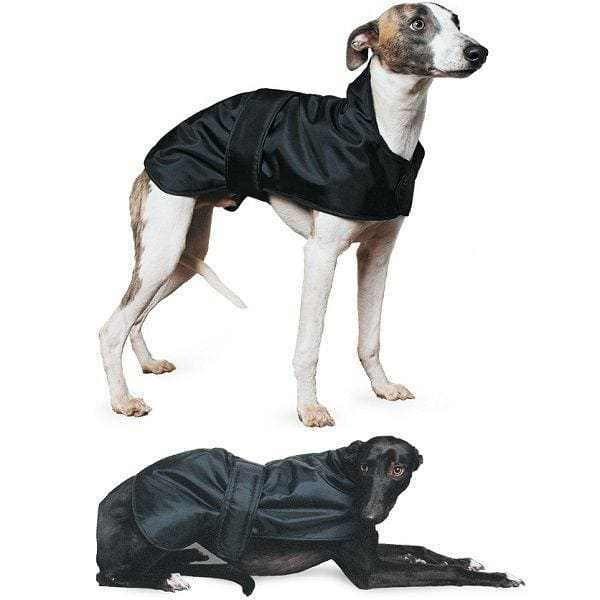 Ancol Whippet & Greyhound Dog Coat in black, featuring a snug fit and faux lamb fleece lining for warmth.