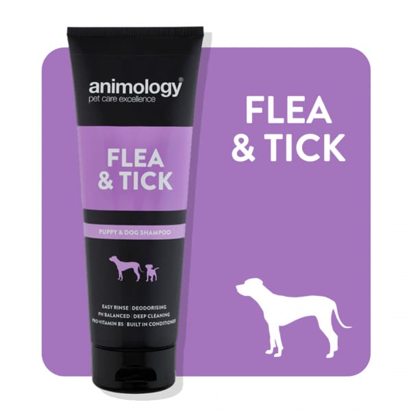 Animology Flea & Tick Dog Shampoo 250ml -Animology5060180810061