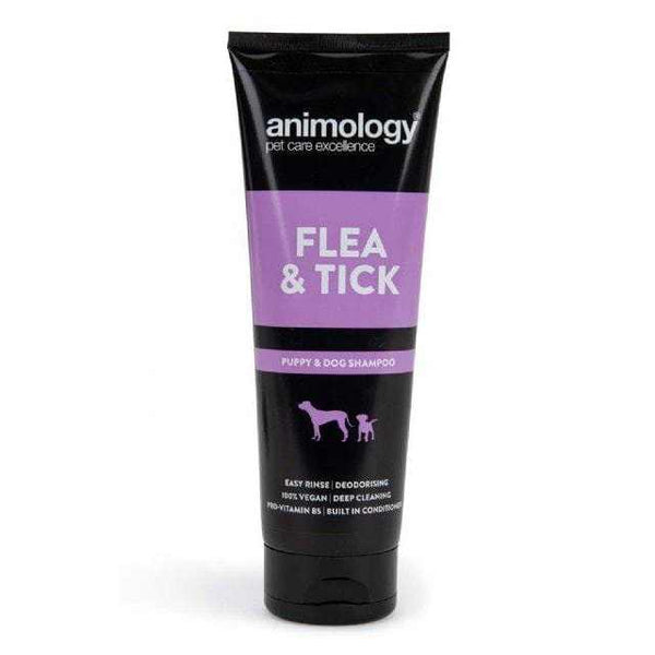 Animology Flea & Tick Dog Shampoo 250ml bottle with purple and black label.
