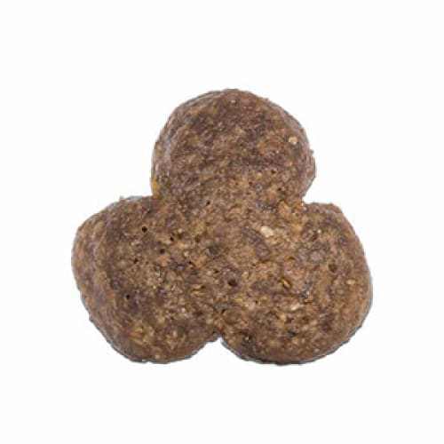 Arden Grange Chicken & Rice Dry Dog Food kibble for adult dogs.
