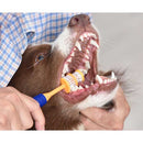Arm & Hammer Fresh 360° Toothbrush for Dogs - Arm & Hammer886284800853