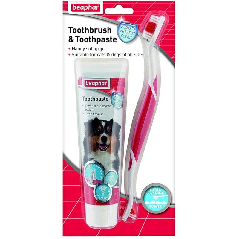 Beaphar Toothbrush & Toothpaste Dental Kit for dogs, featuring double-sided brush and 100g fluoride-free toothpaste tube.