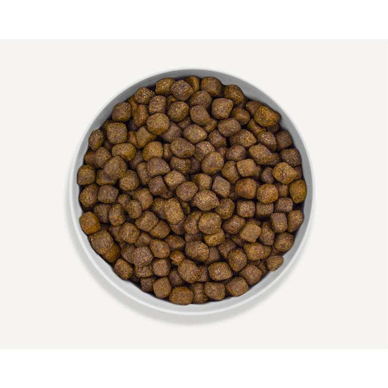 Canagan Highland Feast Dry Dog Food kibble in bowl.