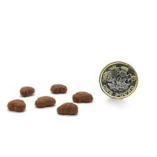 Canagan Puppy Free Range Chicken Dry Food kibbles next to a coin for size comparison.
