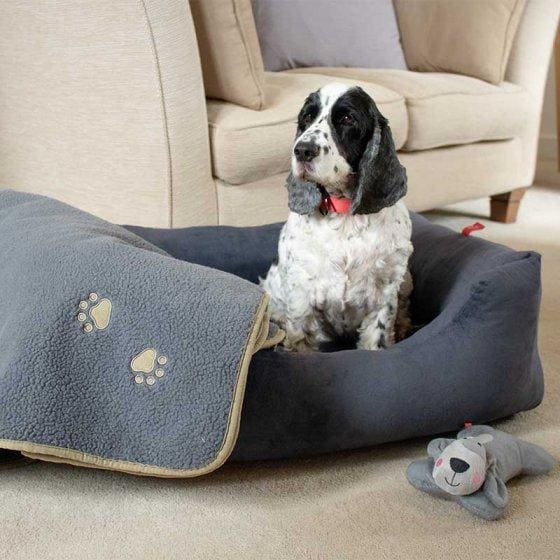 Charcoal Grey Velour Square Dog Bed -Zoon5050642044561