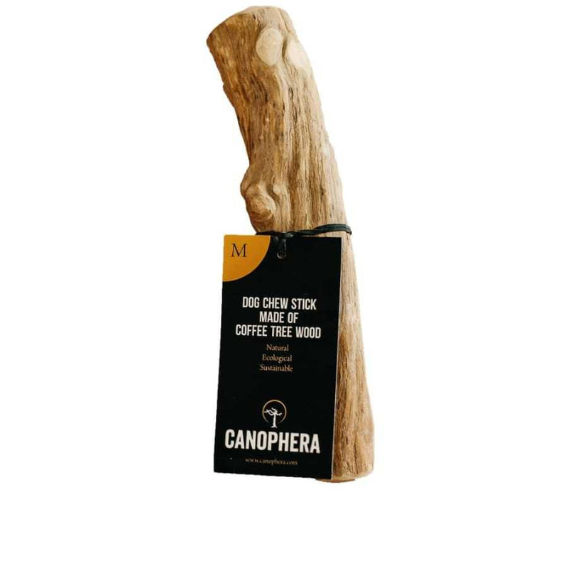 Coffee Wood Dog Chew Stick - durable, natural chew toy for dogs made from eco-friendly coffee wood.