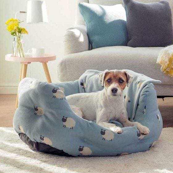Counting Sheep Oval Dog Bed in light blue with sheep pattern, featuring a dog resting comfortably in a cozy living room.
