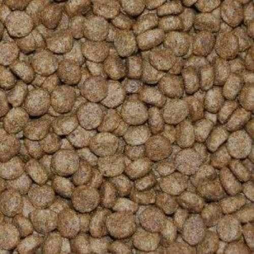 Dr John Puppy Dry Dog Food - Dr John5012113002807