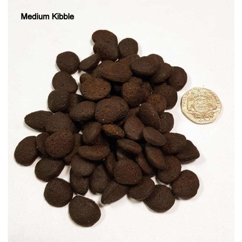 Medium-sized kibble of Eden Original Cuisine Dry Dog Food shown with a coin for size comparison.