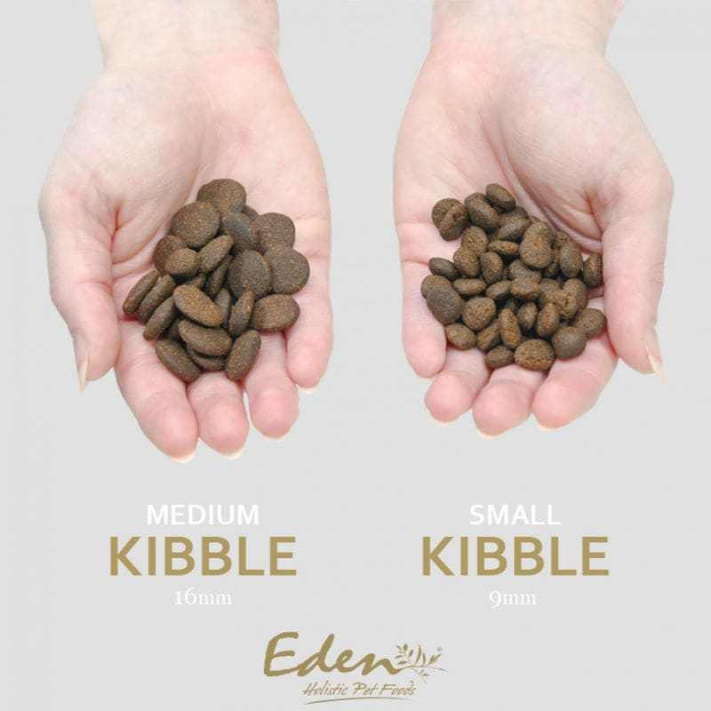 Eden Original Cuisine Dry Dog Food with medium (16mm) and small (9mm) kibble sizes in hands.