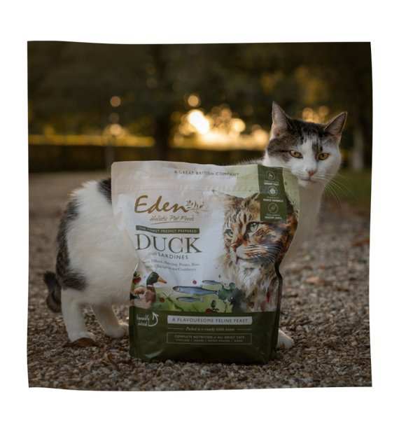 Eden Duck with Sardine Dry Cat Food 1.5kg bag with cat in outdoor setting.