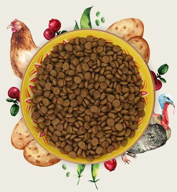 Eden Feline Feast Turkey & Chicken Dry Cat Food in a bowl surrounded by illustrated ingredients like poultry and vegetables.