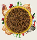 Eden Feline Feast Turkey & Chicken Dry Cat Food 1.5kg - Eden Pet Foods