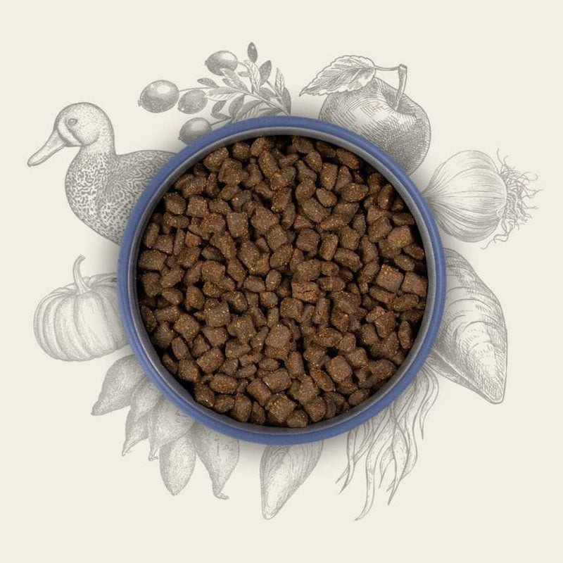Eden Semi-Moist Country Feast Dog Food in a bowl surrounded by illustrated ingredients like duck, vegetables, and superfoods.