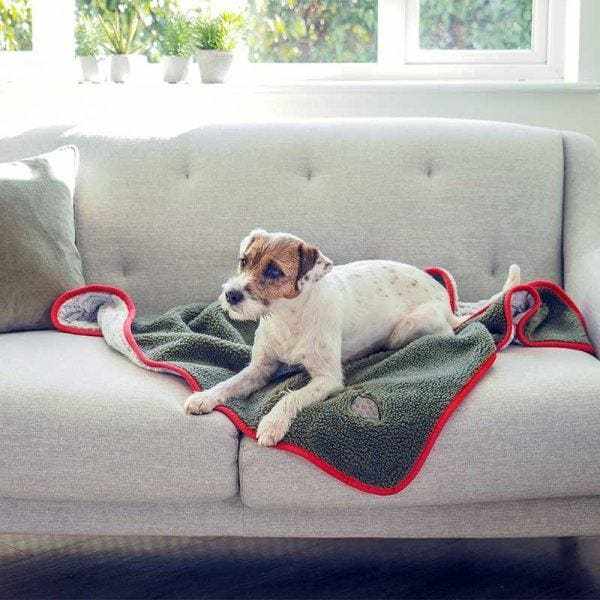 Dog resting on a Feathered Friends Dog Comforter Blanket, dark grey with red piping, on a sofa.