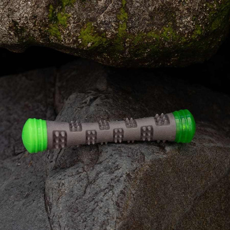 Frubba Flashing Dog Stick Toy on rocks, durable grey and green design.