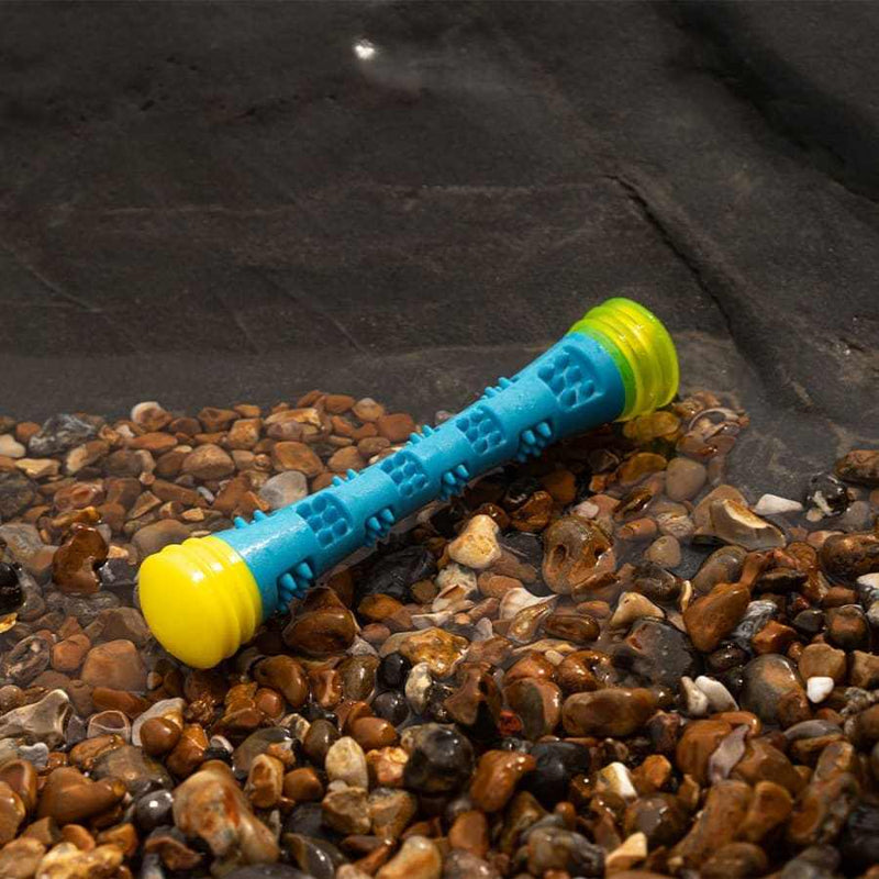 Frubba Flashing Dog Stick Toy on rocky surface, vibrant blue and yellow design.