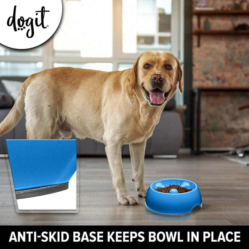Go Slow Anti Gulp Dog Bowl - Dog - it