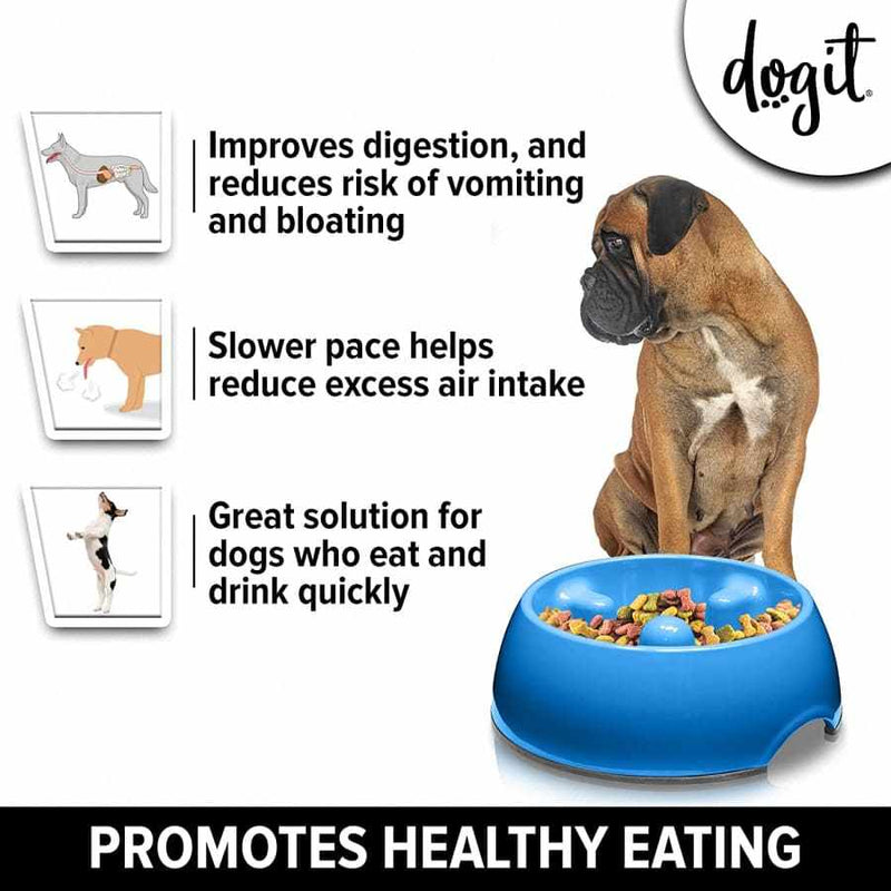 Slow anti gulping dog feeding bowl for improved digestion and reduced bloating risk.