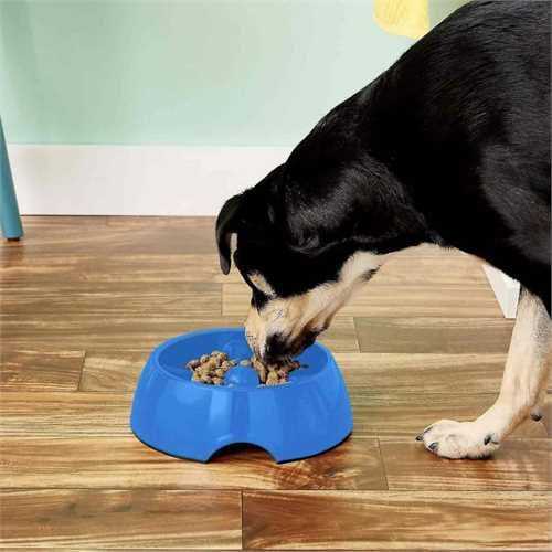 Anti gulp dog bowl large online