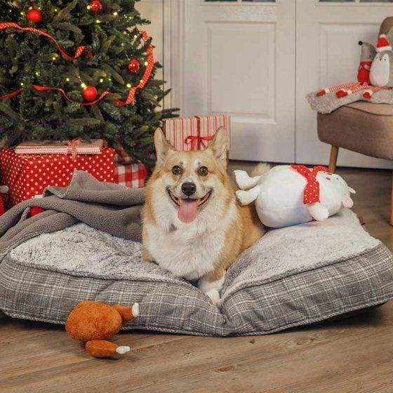Corgi resting on a Grey Plaid Gusset Mattress Dog Bed near a Christmas tree.